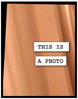 HER! (Girl vs Pig) #154 - her art! - panel 1